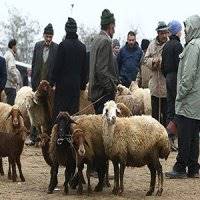 ذبح دام عید قربان در معابر عمومی ممنوع است