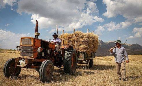 هشدار نسبت به افت تولید و کاهش ضریب خودکفایی غذایی کشور/ کشاورزان در تنگنای معیشتی