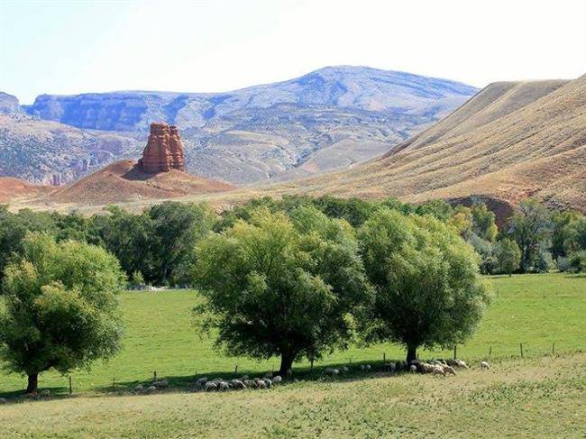 رانندگی در کوه های بیگ هورن