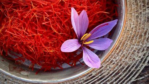 انباشت 100 تن زعفران در آستانه آغاز فصل جدید کشت/ عرضه زعفران ایرانی در بازار جهانی با برند افغان