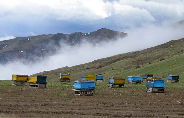 گردنه حیران