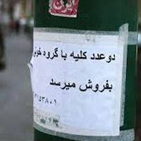 قیمت کلیه از مرز 50 میلیون گذشت!