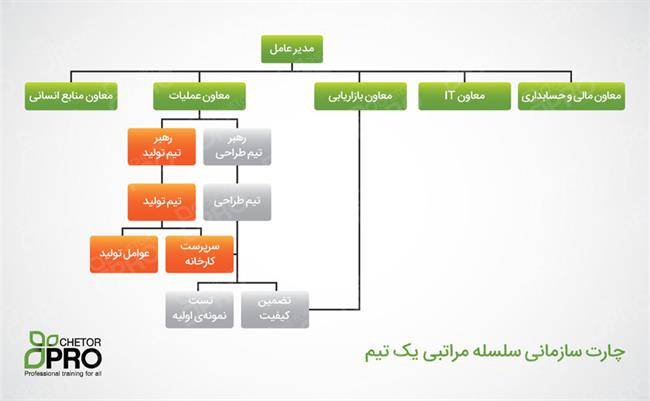 چارت سلسله مراتبی تیم