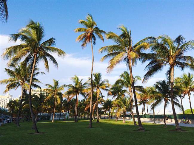 ساحل Lummus Park