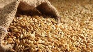 جریمه میلیاردی متهم پرونده عرضه خارج از شبکه 2 هزار تن گندم در فارس