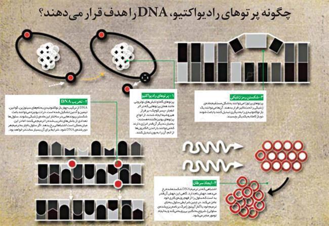 ققنوس حیات وخاکستر اتمی