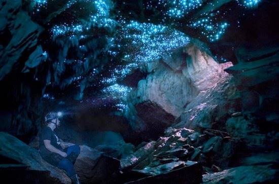 غارهای کرم شب تاب وایتومو، نیوزیلند GLOWWORM WAITOMO CAVES