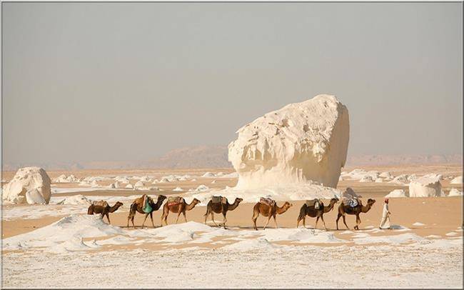 صحرا سفید فرافره، مصر White Desert Farafra 