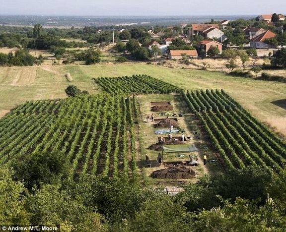 کشف بقایای پنیر 7200 ساله در کرواسی