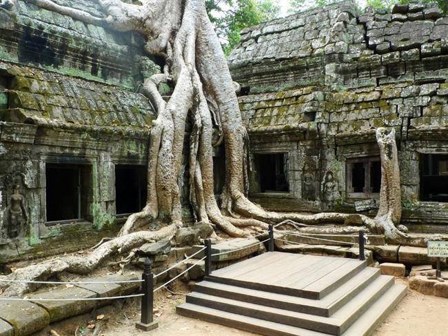 Ta Prohm, Siem Reap