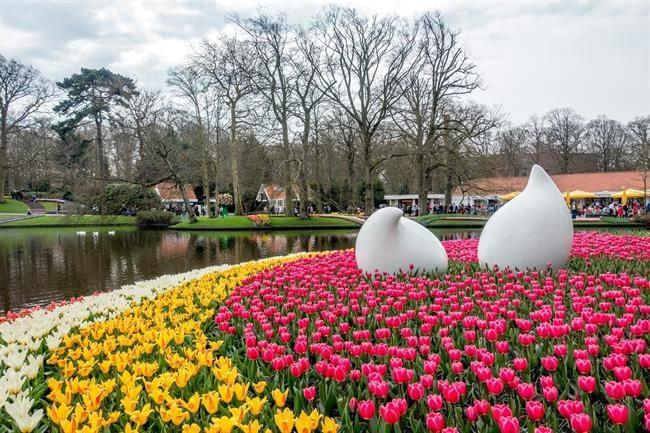 Keukenhof