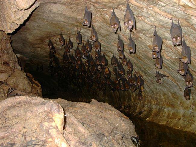 غار نوردی در ایلام