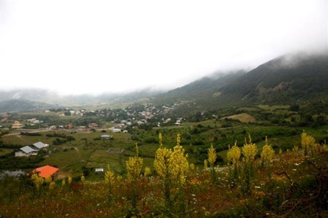 روستای داماش