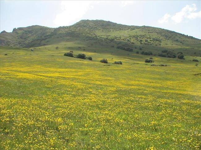 مناطق دیدنی روستای داماش