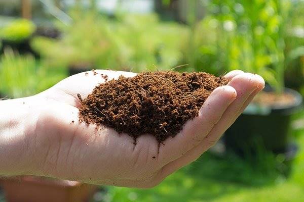 سازمان ملی استاندارد مکلف به تهیه استاندارد انواع کود شد