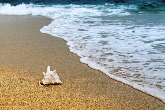 10 بیماری خطرناکی که در ساحل دریا در کمین سلامتی شما است