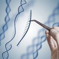 ژن درمانی روشی موثر برای درمان بیماری های مرگبار