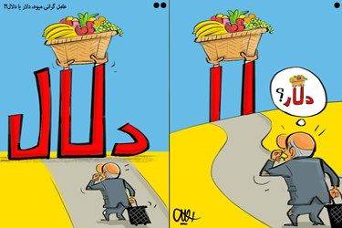 متهم گرانی میوه، دلار یا دلال! (کاریکاتور)