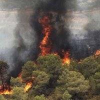 آتش‌سوزی در 355 هکتار از جنگل‌های کهگیلویه‌و‌بویراحمد در تابستان