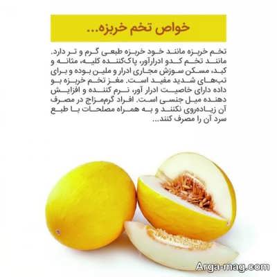 معرفی خواص تخم خربزه