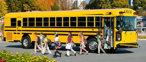 Our Buses-Schools - Copy