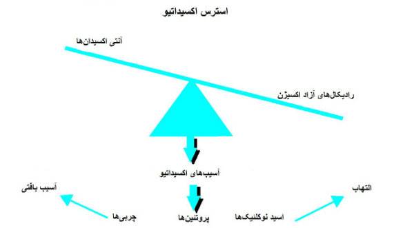 بیماری آلزایمر