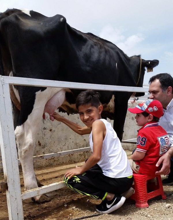 مزرعه گردشگری خورشید