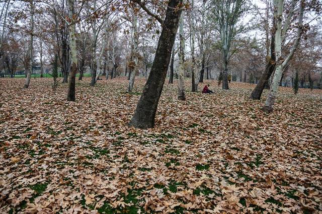 برپایی دهکده هنر و بازی‌های ملل در بوستان ملت