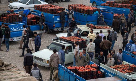 63کامیون گوجه‌فرنگی جهت توزیع در بازار تحویل تعزیرات شد