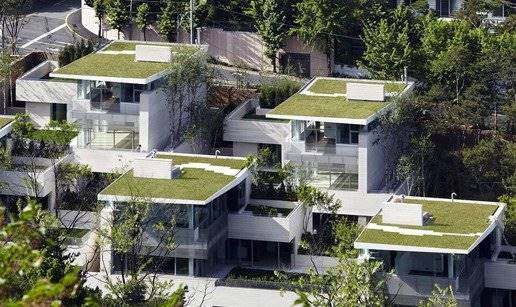 مازندران سرسبز است اما خانه سبز ندارد