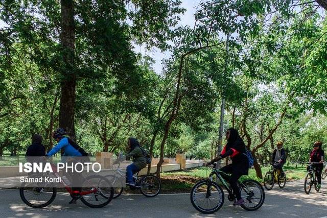 تدوین سند جامع دوچرخهسواری برای تهرانیها