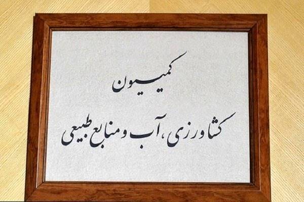 کلیات لایحه تعیین تکلیف اموال بهکده رضوی تصویب شد
