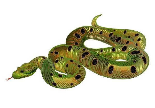 شخصیت شناسی