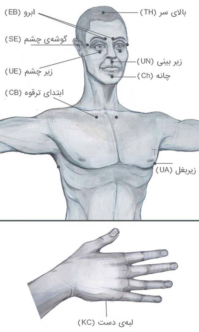 ای اف تی - نقاط مریدین