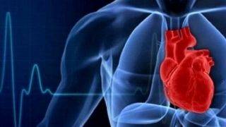 ارتباط سروصدا با افزایش ریسک حمله قلبی