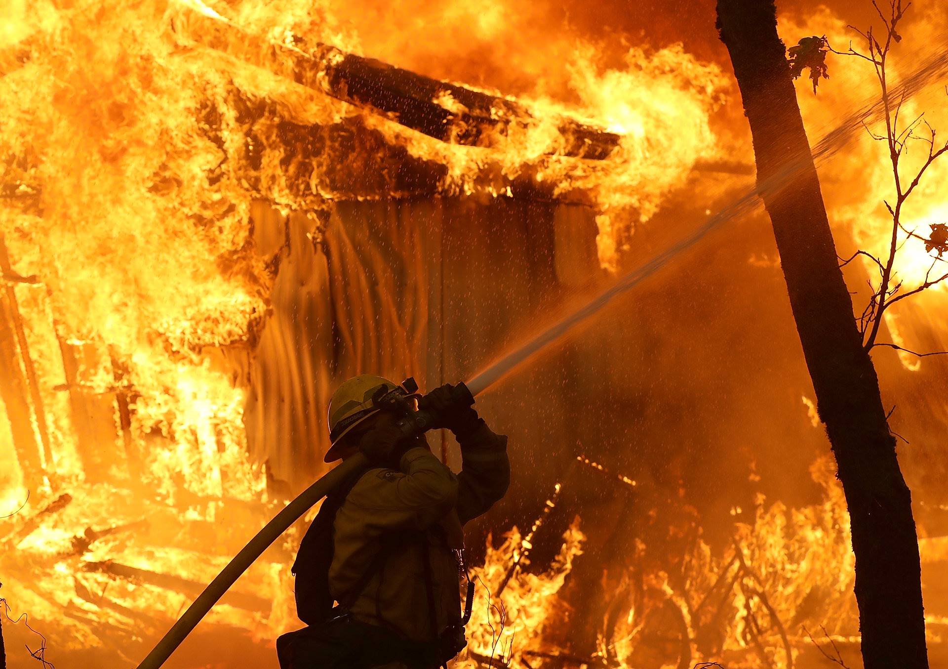 سلبریتی هایی که خانه را به علت آتش سوزی کالیفرنیا ترک کردند