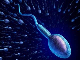 چند واقعیت مهم درباره اسپرم