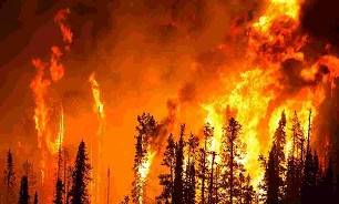آتش سوزی مرگبار کالیفرنیا: بیش از 1000 تن مفقود شده اند