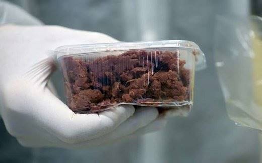 ورود گوشت مصنوعی به سبد غذایی آمریکایی‌ها