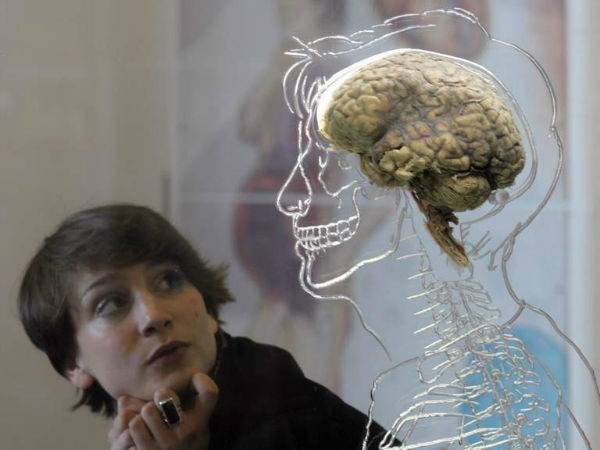 محققان قسمتی ناشناخته از مغز انسان را پیدا کردند