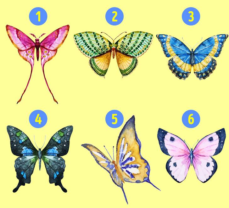 با انتخاب یکی از پروانه ها به شخصیت خود پی ببرید