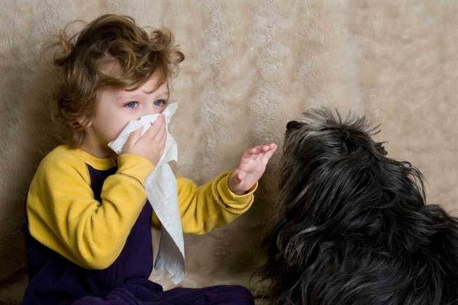 آلرژی به سگ - علائم