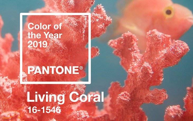 انتخاب رنگ سال 2019 در حمایت از جزایر مرجانی