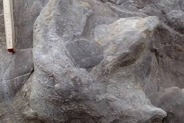 توفان جای پای 100 میلیون ساله دایناسورها را رو کرد توفان جای پای 100 میلیون ساله دایناسورها را رو کرد +عکس