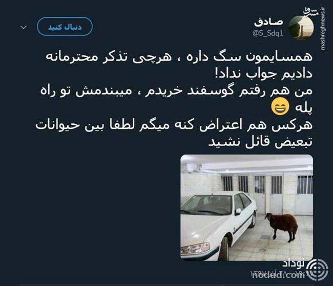 لطفا بین سگ و گوسفند در آپارتمان تبعیض قائل نشوید +عکس
