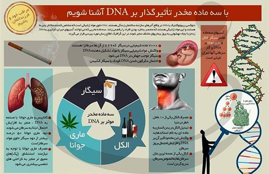 همه تصورات غلط درباره «گل»: دومین ماده مخدر شایع در ایران