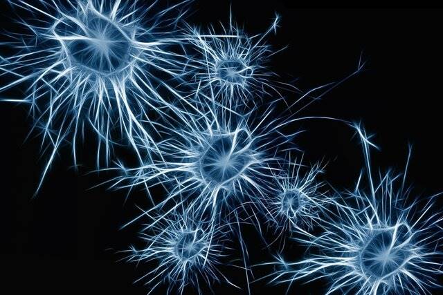 نورون‌ها می‌توانند اطلاعات مغز را فیلتر کنند‍!