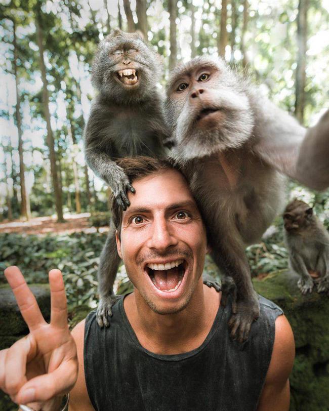 عکس: میمون‌ها هم سلفی می‌گیرند!