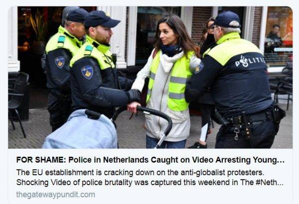 زن هلندی به جرم پوشیدن جلیقه زرد بازداشت شد