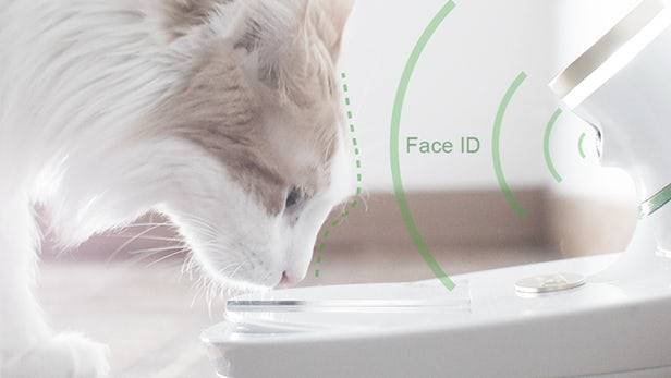 ظرف غذای هوشمند Mookkie سیستم تشخیص چهره را به دنیای حیوانات می‌آورد